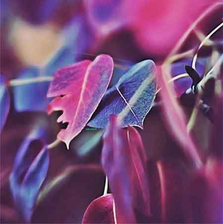 دانلود آهنگ صلوات بر محمد وحید حیدری